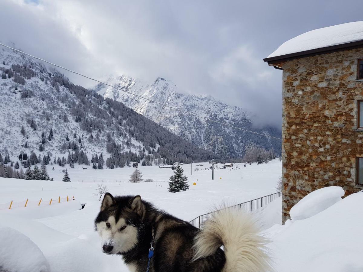 Sci Ai Piedi,Passeggiate,Mountain Bike,Relax Apartment Passo del Tonale Exterior photo